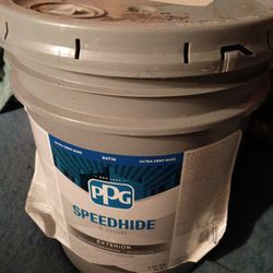 Speedhide Exterior Paint 