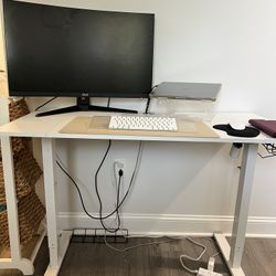 White Electric Standing Desk Adjustable - 48 x 24 Inch Sit Stand up Desk