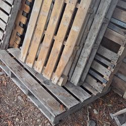 Free Pallets 