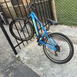 Mountain Bike Read Description ‼️