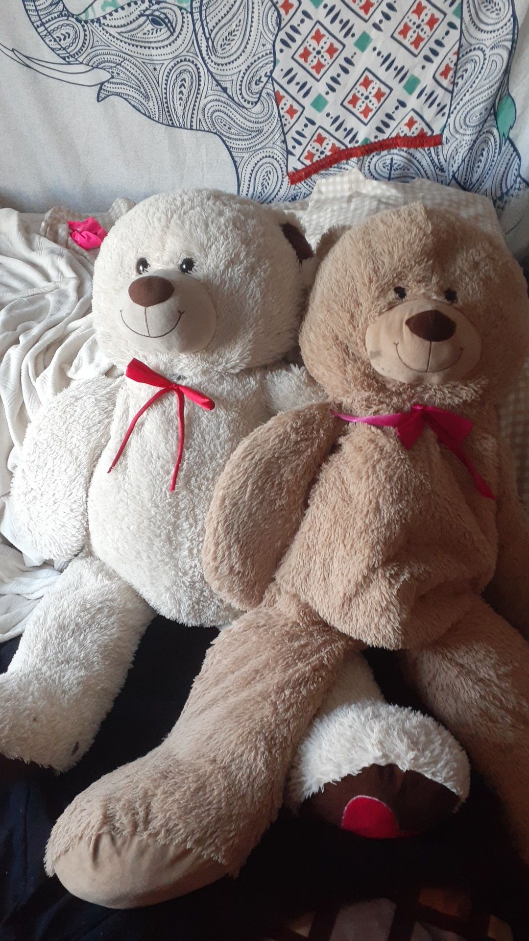 Free huge teddy's bears