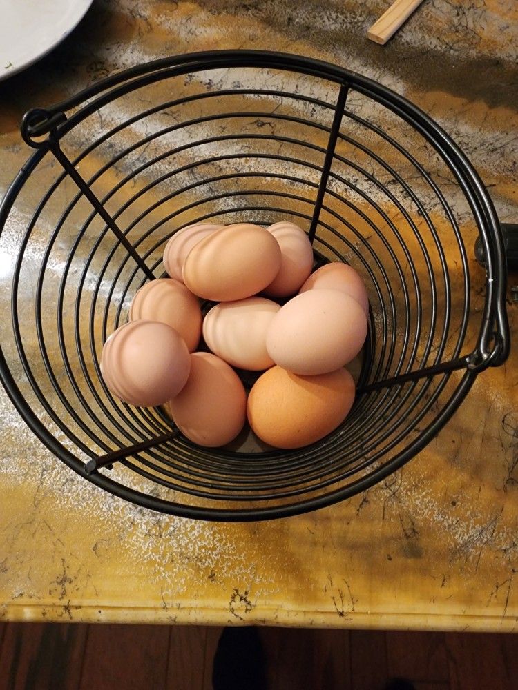 Fresh Brown Eggs Picked Daily
