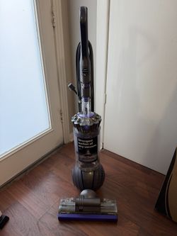 Dyson Animal 2