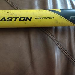 Softball Bat 