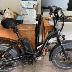RAD Expand 5 Electric Bike