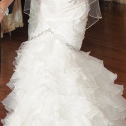 Wedding Dress & Veil