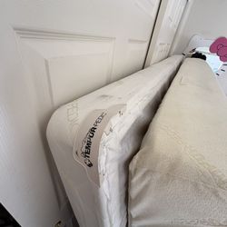 Tempur-Pedic Bed (Queen)