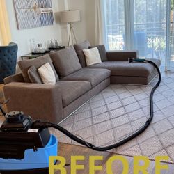 Professional Sofa & Upholstery Cleaning in Los Angeles – Steamens 