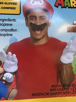 Mario and Luigi Costume