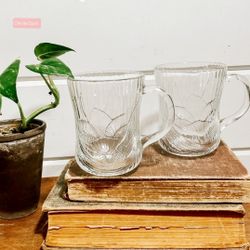 Vintage Glcoloc France Canterbury Clear Embossed CrocusFlowers Glass Mugs set-2