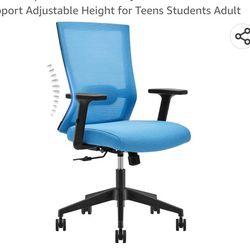 Office Chair Ergonomic Office Chair Swivel Mesh Computer Chair with Adjustable Arms Lumbar Support Adjustable Height for Teens Students Adult