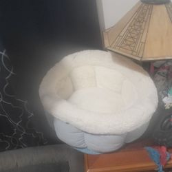 Pet Bed