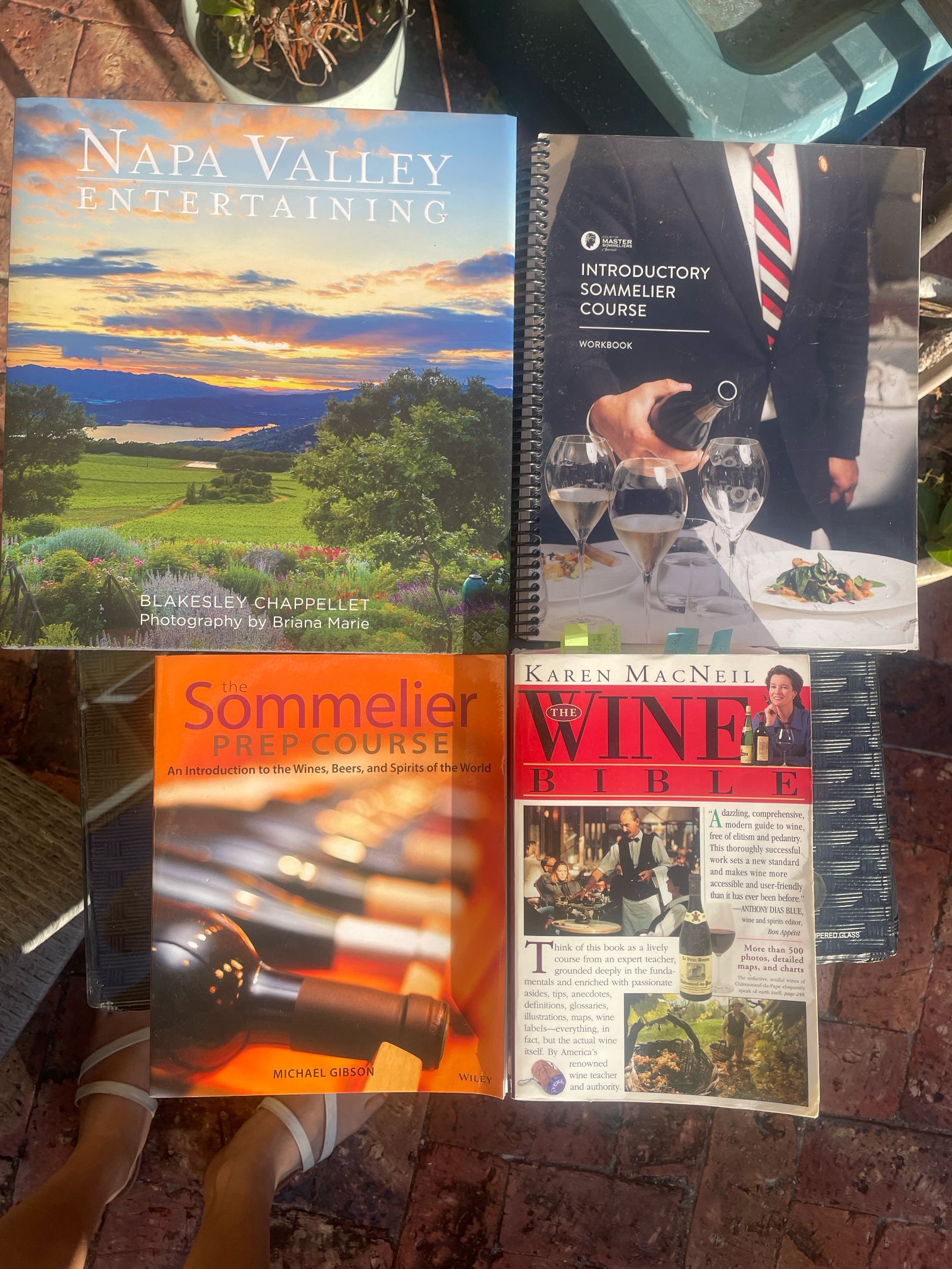 Wine Books 