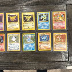  Pokémon Haul