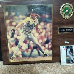 Randy Johnson picture plague