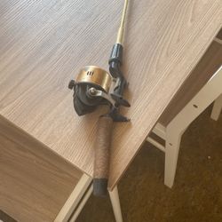 Fishing Pole with enclosed spinning  reel