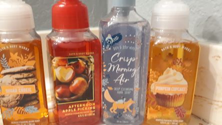 Seasonal set 4 for $24