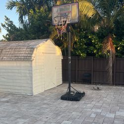 Basketball Hoop For Sale 