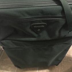Green Luggage Bag 
