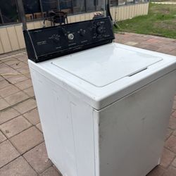 Labrador’s Master Chef Tina Grande