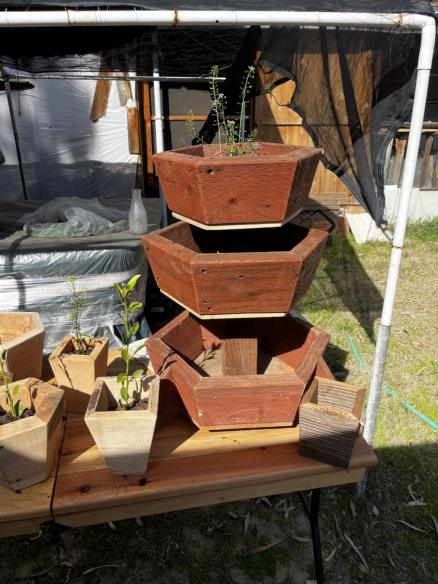 Flower Pots