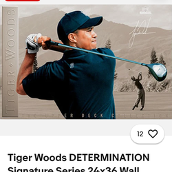Two classic tiger woods posters (Upper Deck)