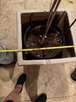 Planter