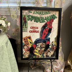 Spider - man picture 20”h15”w