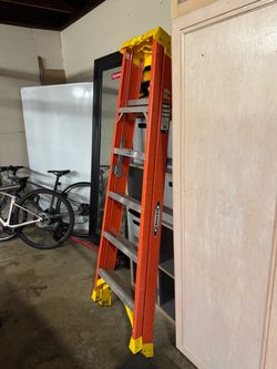 Werner 6ft/10ft reach ladder $60