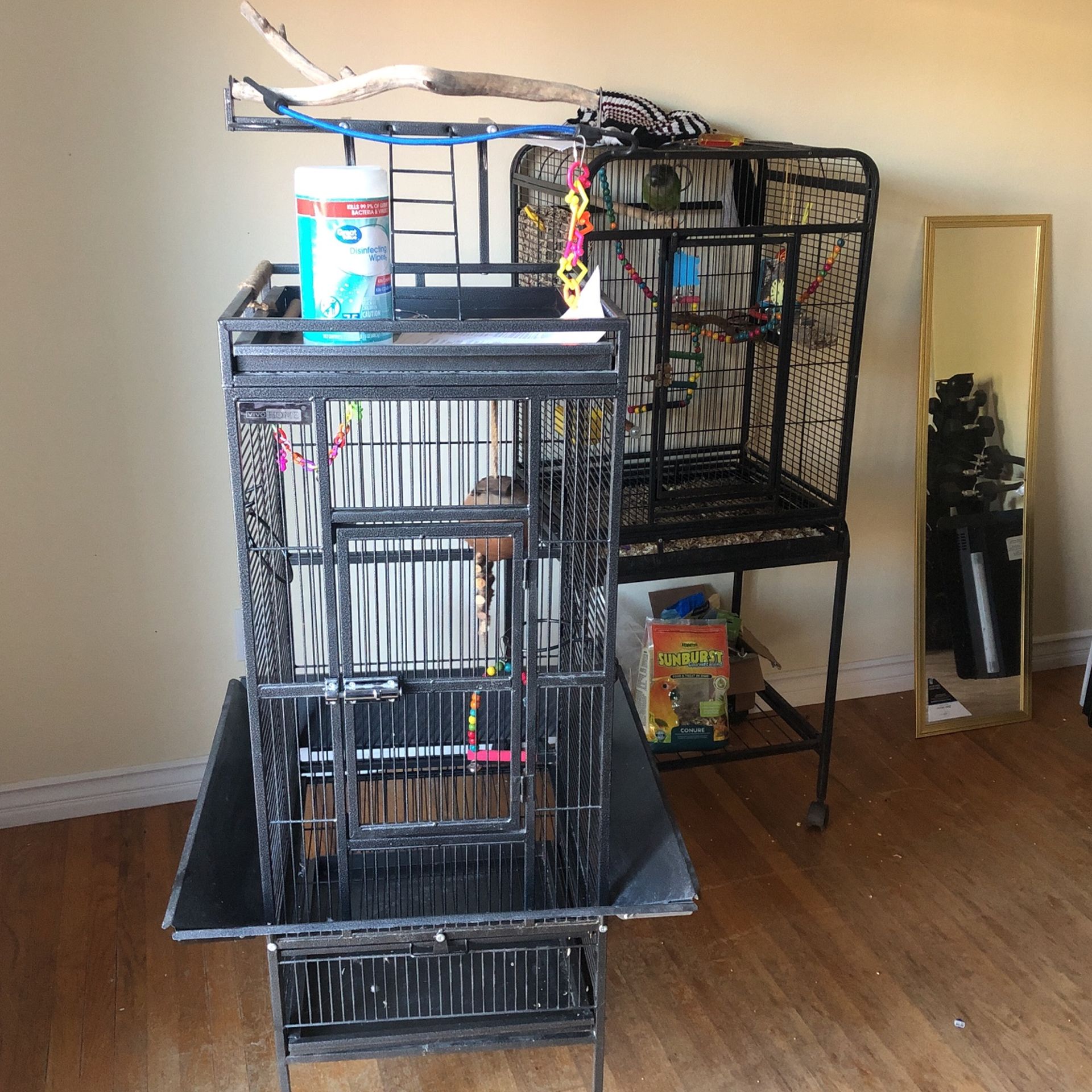 Bird Cage