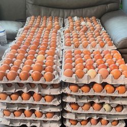 30 Eggs For $15
