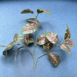 Artificial Foliage Peacock Plant Stem