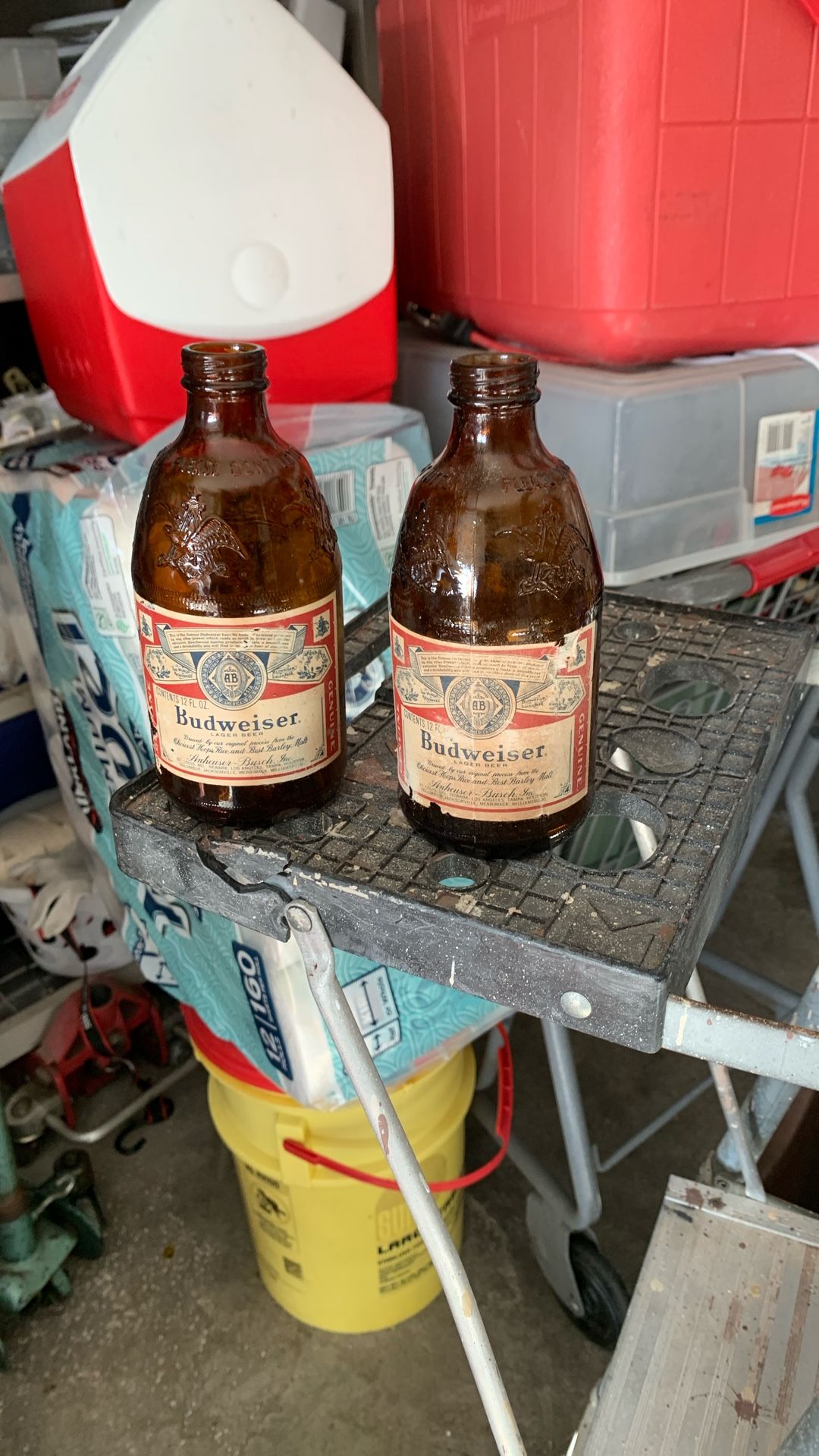 Vintage Budweiser Short Bottles