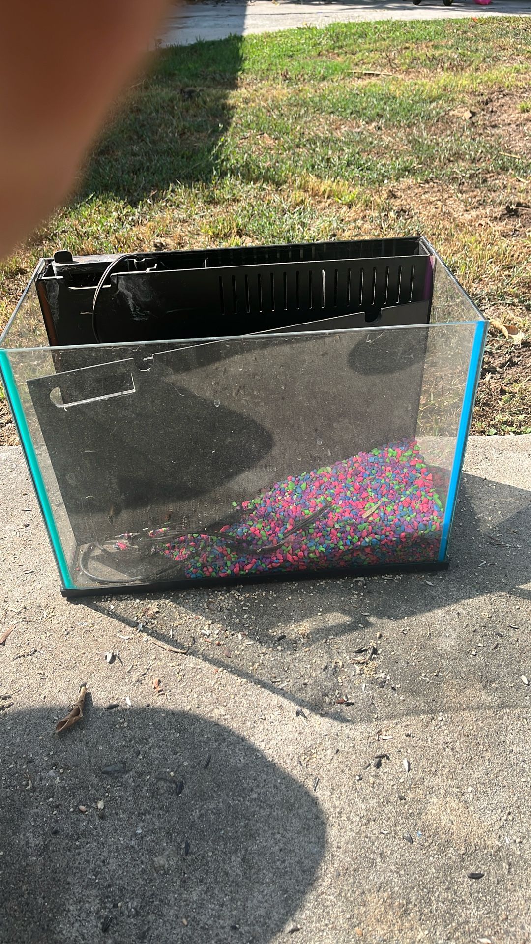 Aquarium Tank