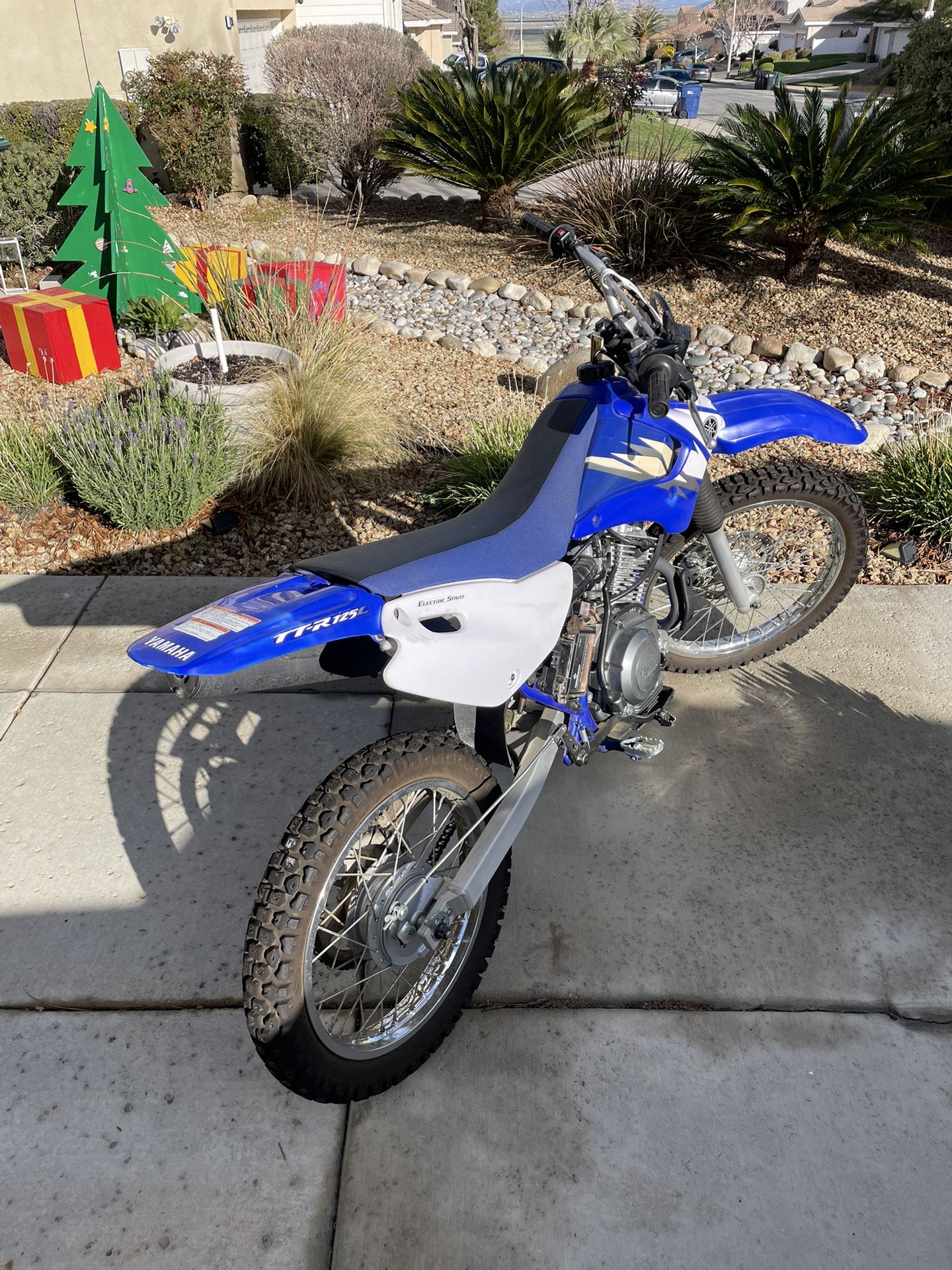 2006 Yamaha TTR125LE