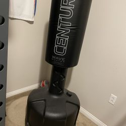 Century Punching Bag