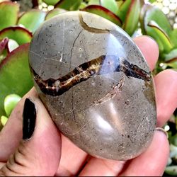 Septarian Palm 