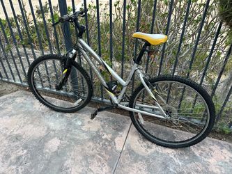 Trek Bicycle Needs Tune up and repair. Rusted chain