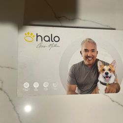 Halo Dog Collar