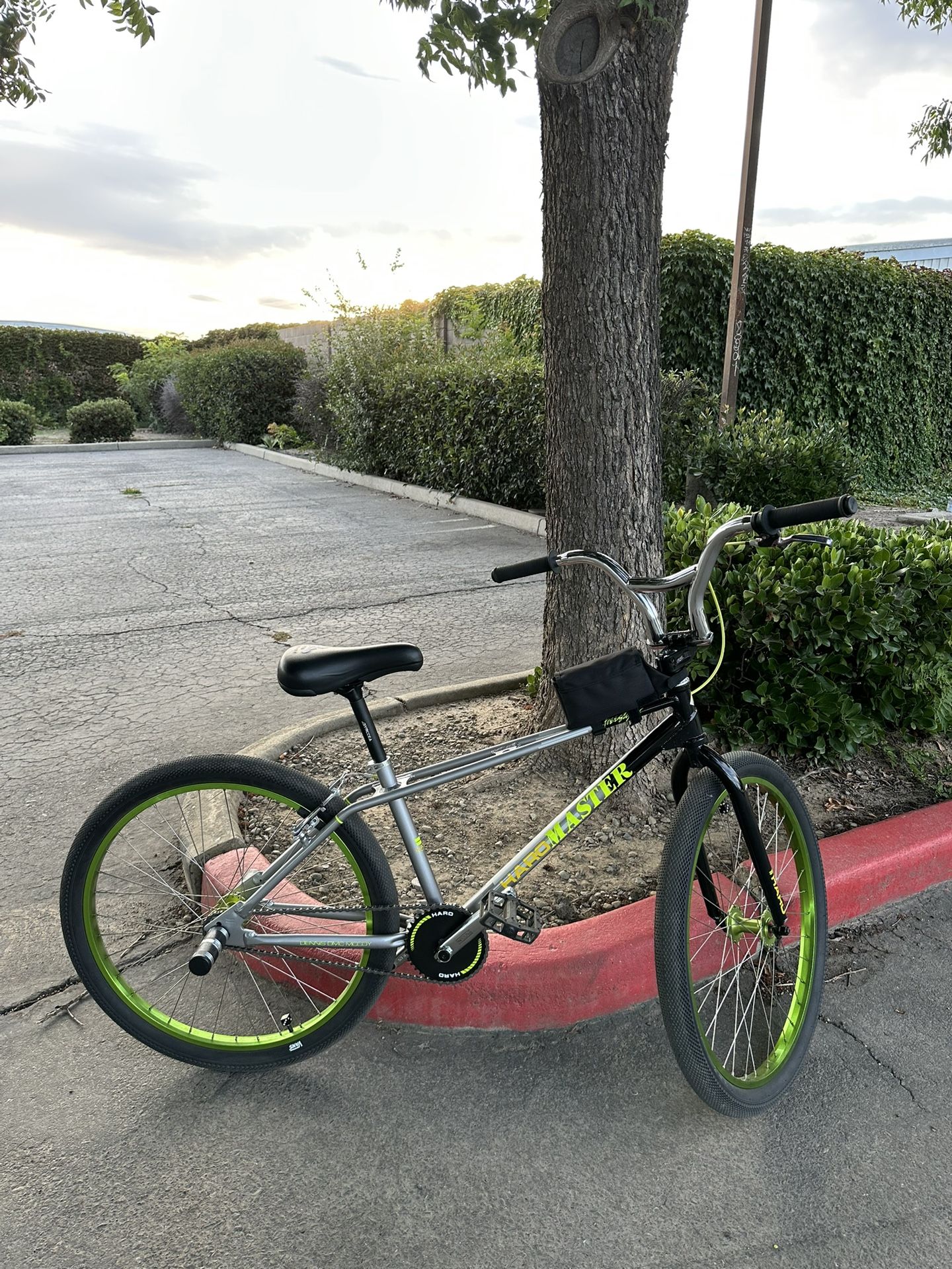 26 Inch Bob Haro Master