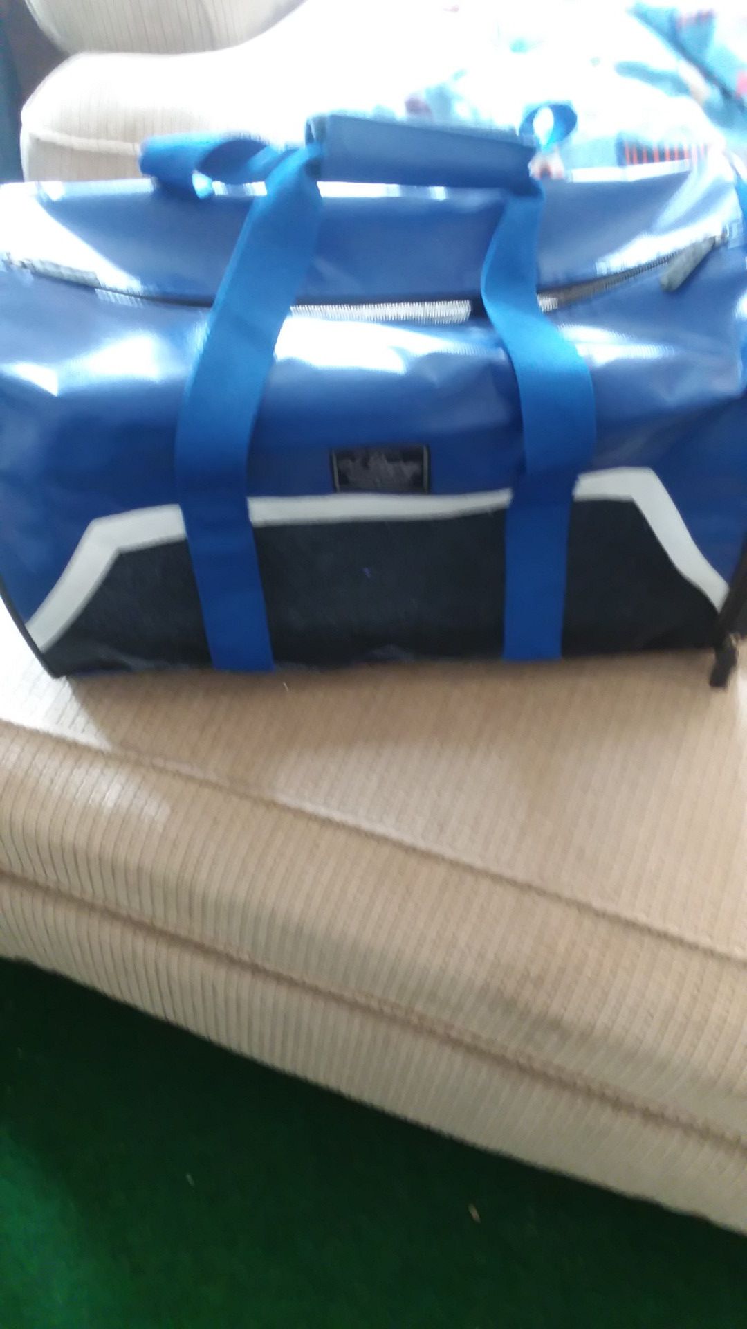 Brand new dog carrier never used moving