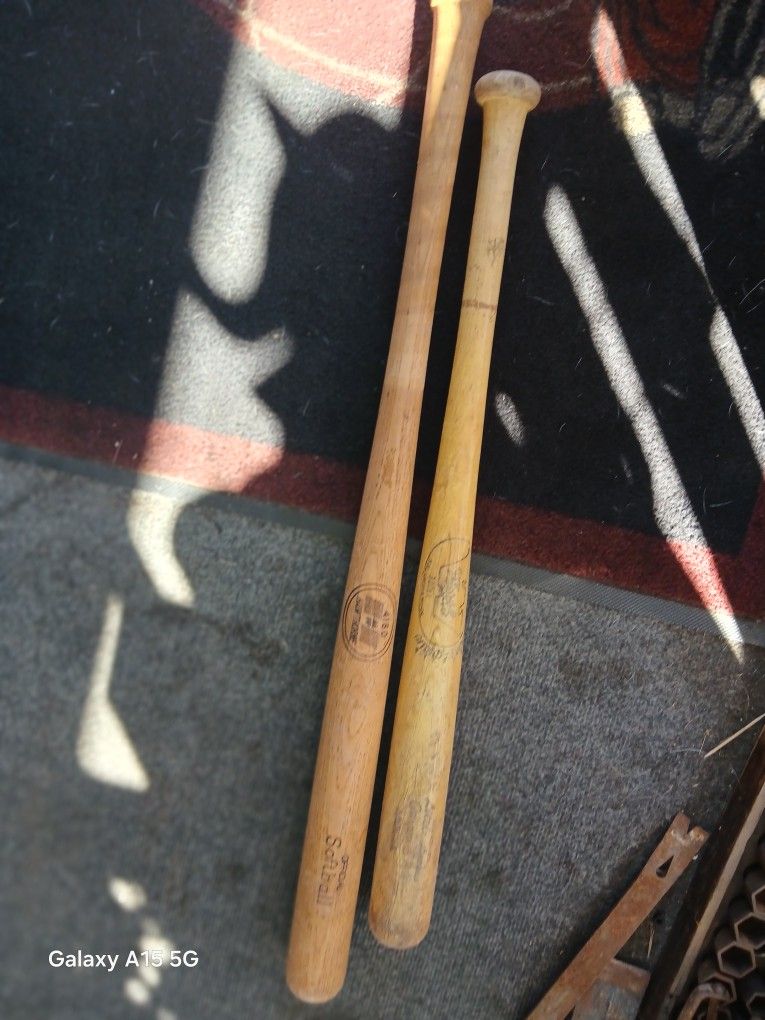 Softball & Little League Bat