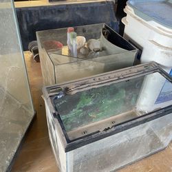 Aquarium Items
