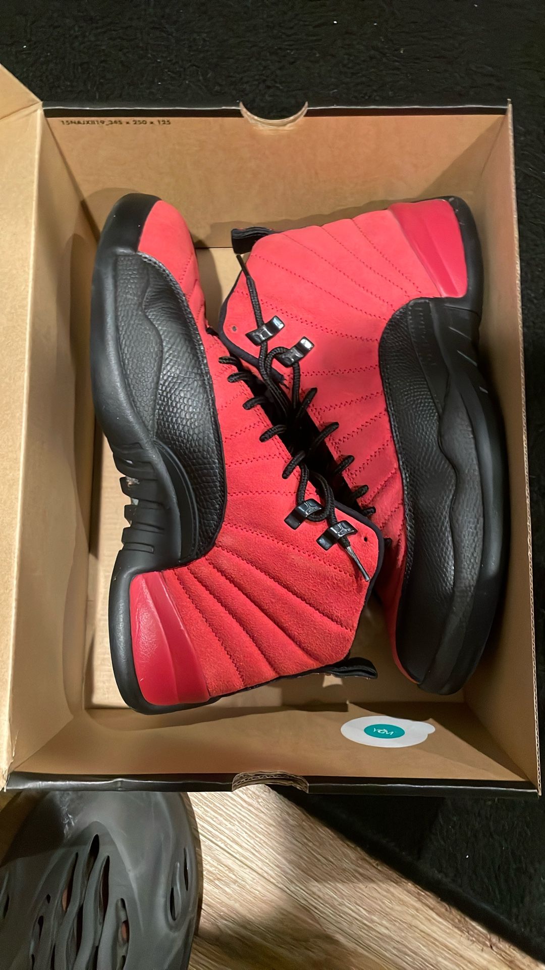 jordan 12 retro