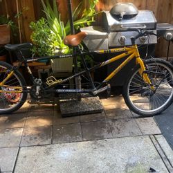 Tandems Bike 