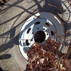 Tire And Rim