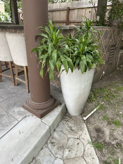 Ceramic Planter Pots Must Sell Make Offer