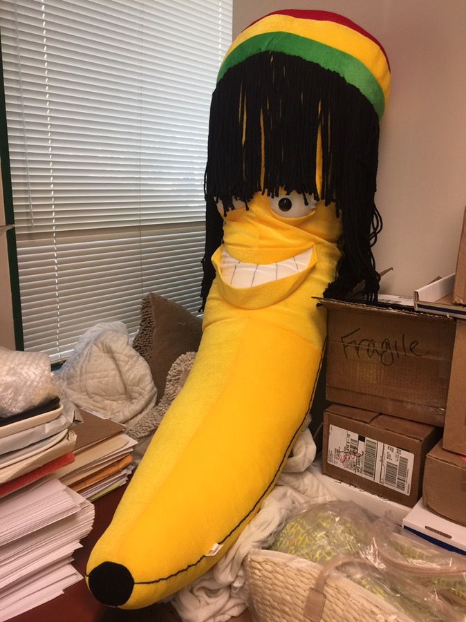 Huge Jamaican Banana prize