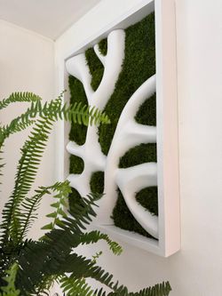 Moss cuadro