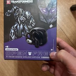 Megartron Earbuds